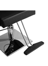Load image into Gallery viewer, Raven Salon Chair
