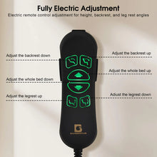 Load image into Gallery viewer, Stella Electric Treatment Bed
