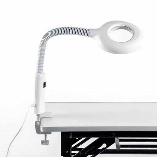 LED Table Top Lamp - Direct Spa Essentials